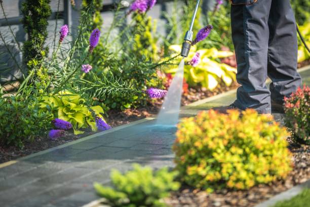 Best Gutter Cleaning  in Martinez, CA